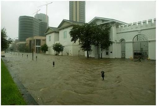 Water covers Royal Street in downtown