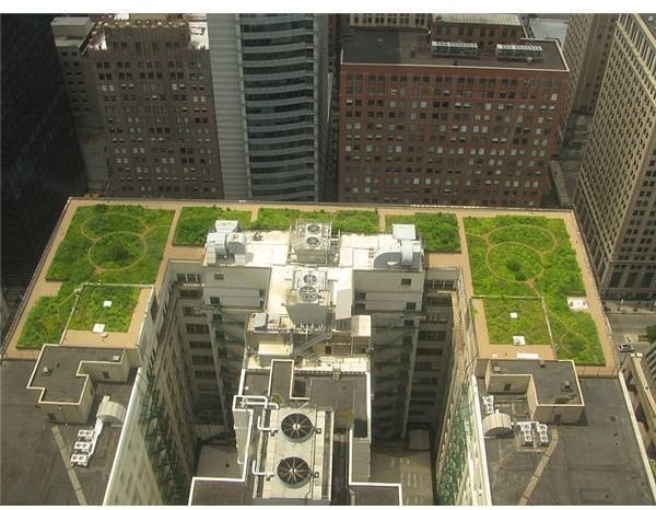 Green Roofing - Innovative Green Roofing Systems