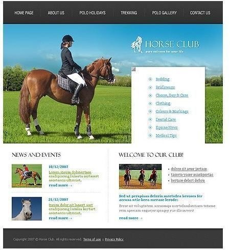 Horse Riding Website Theme by Entheos Templates