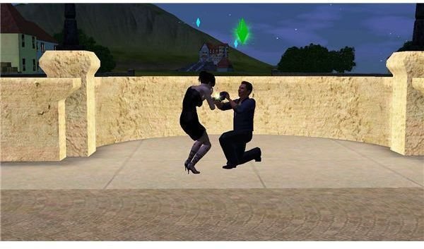 The Sims 3 Propose in France