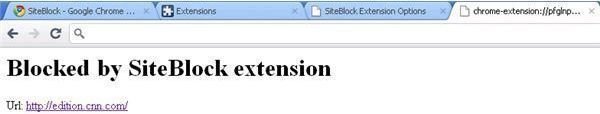 Sample of Blocked Website Using Google Chrome