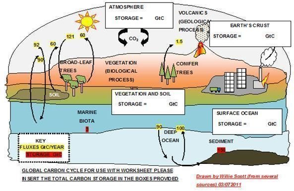 Global Carbon Cycle Diagram for Worksheet Tutorial Use