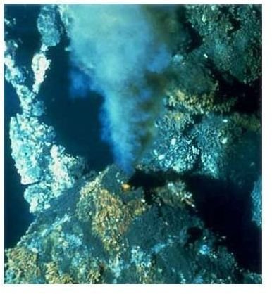 Marshall System Uses Energy from Hydrothermal Vents to Generate Energy
