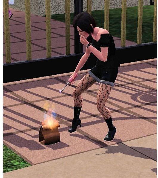 The Sims 3 prank fire poop