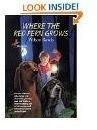 Writing Prompts for Where the Red Fern Grows by Wilson Rawls