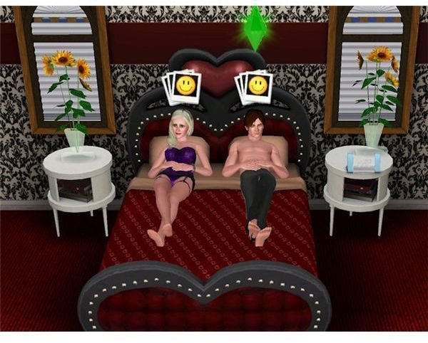 The Sims 3 woohoo memory
