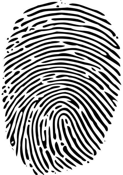Picture of a Fingerprint
