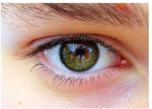 Use Homemade Eye Cream to Protect the Skin at a Fraction of the Cost