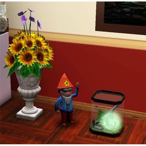 Mysterious Mr Gnome in The Sims 3