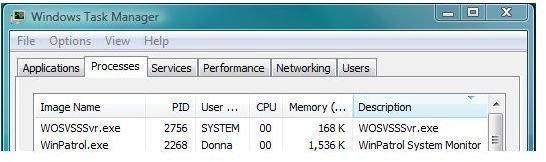 Memory Usage of WinPatrol in Vista