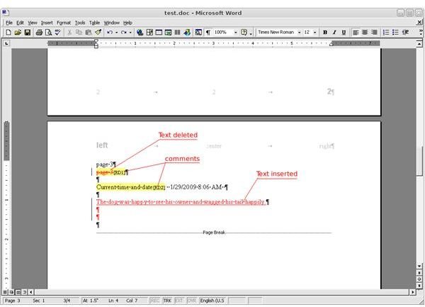 MS Word - Track Changes and Comments