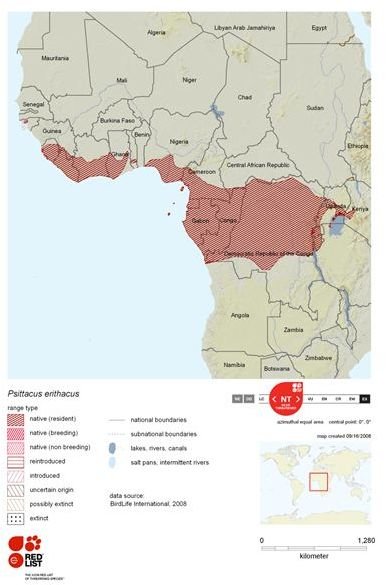 African Grey Distribution Map