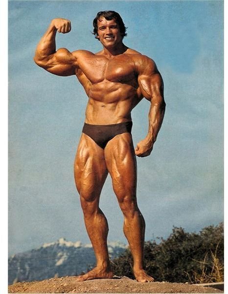 Arnold Schwarzenegger Training In The Gym Philosophy