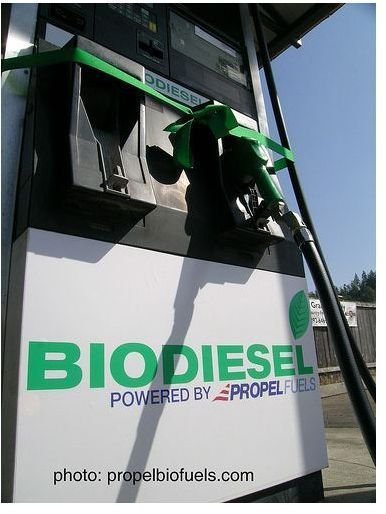 Biodiesel - An Alternative Fuel for Motor Vehicles