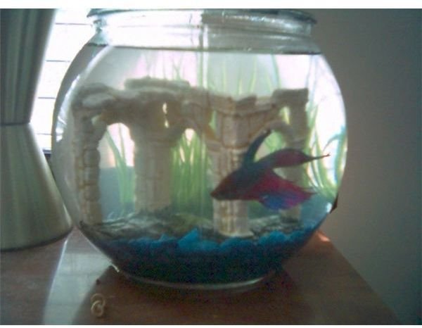 Three Cool Fishbowl Projects for Preschool