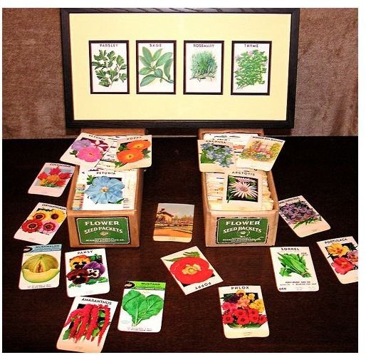 Creating Custom Seed Packets as Party Favors and Presents