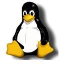 The Perfect Linux Distribution to Meet Your Needs