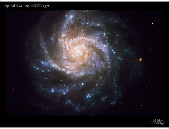 Spiral Galaxy NGC1370