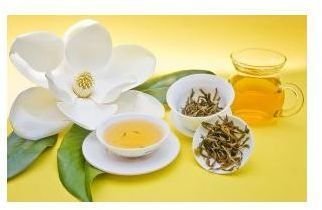 Antioxidant Effect for Olive Oil & Green Tea - Antioxidant Rich Foods May not be as Healthy As You Think