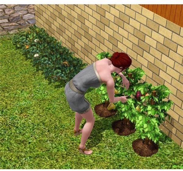 sims 3 horticulture experiment