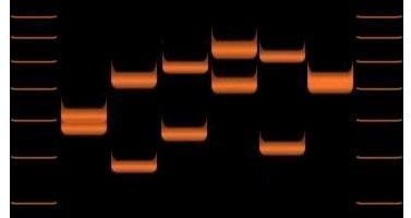 DNA Fingerprinting Recent Developments: An Improvement in the PCR Step of the DNA Fingerprinting Process