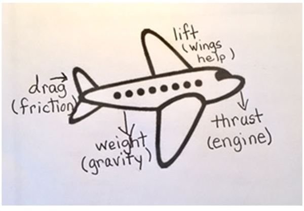 Grade 2 STEM: Engineering Lesson on Lift and Drag