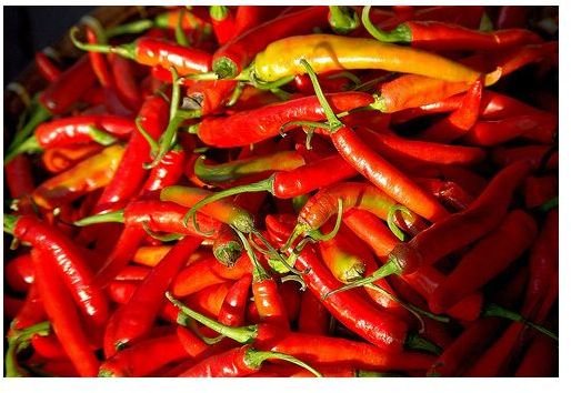 List of High Capsaicin Foods for Intense Well-Being