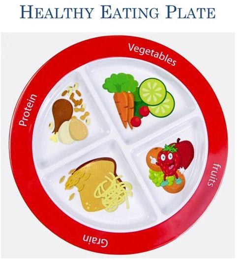 STEM Science Healthy Eating Plate