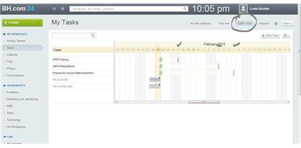 Gantt Chart View of Tasks