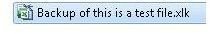 Excel Backup File