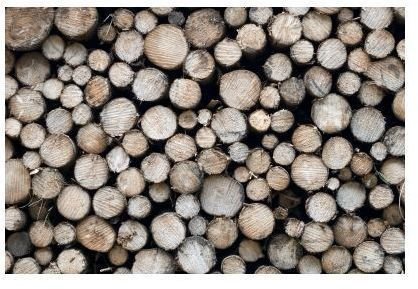 Log Pile