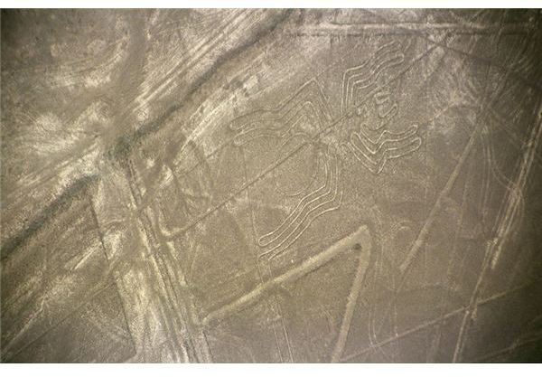 Facts About Astronomer Phyllis Pitluga and Her Work with the Nasca Geoglyphs.