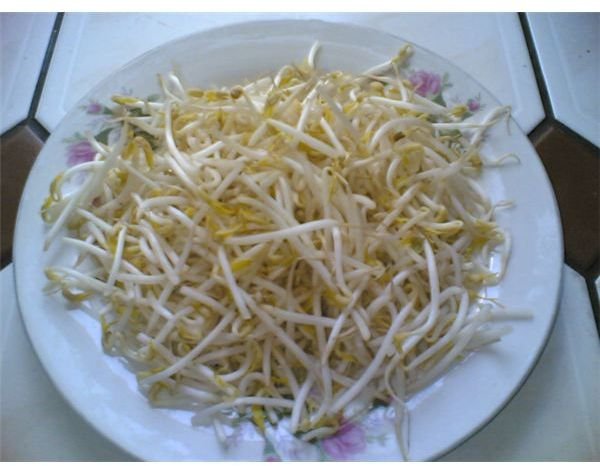 Bean Sprout: Nutrition Facts on Mung, Soybean, Lentil, Garbanzo and Adzuki Bean Sprouts