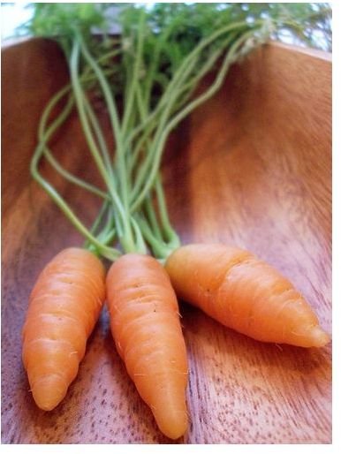 carrots