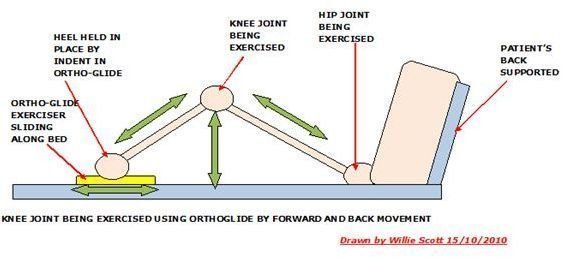 Knee Exercise