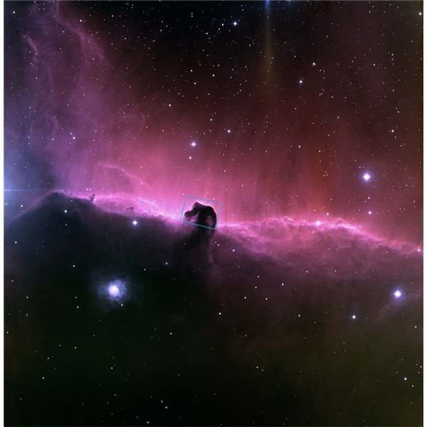 Facts About the Dark Horsehead Nebula in the Constellation Orion