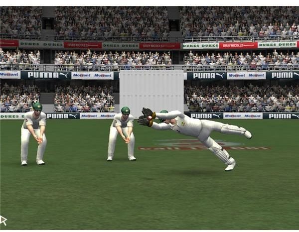 Cricket 2007 Review for Windows PC
