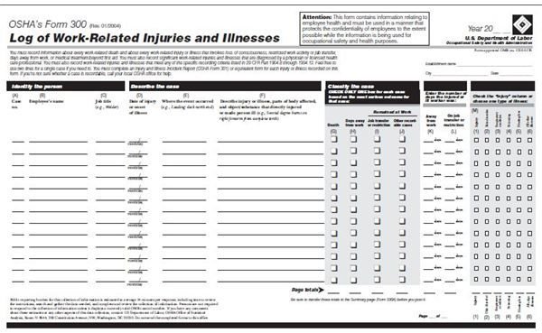 Screenshot OSHA Form 300