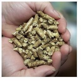 Should you Purchase Wood Pellets or Make Them with a Wood Pellet Mill?