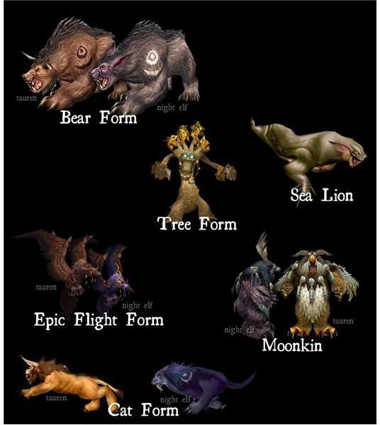 Guide to New, Updated World of Warcraft Night Elf and Tauren Druid Bear and Cat Forms