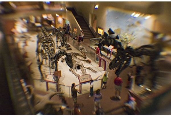 Dinosaur exhibit Smithsonian via Super Wide Angle 