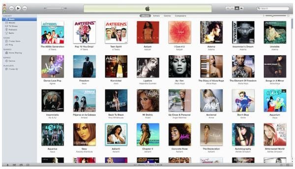 Things to Consider Before Removing the Itunes Database Library