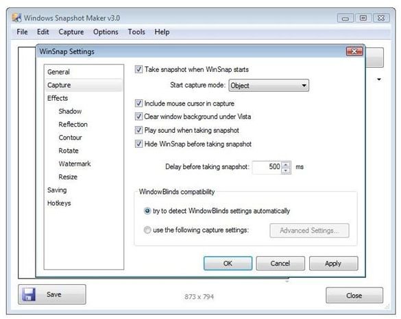 WinSnap Capture Options