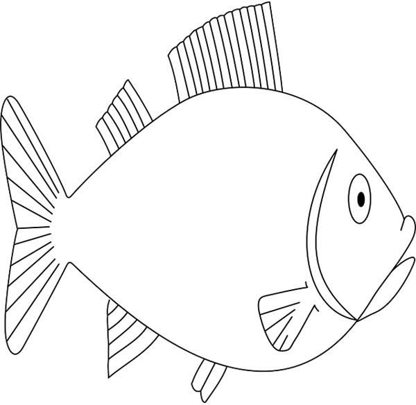 Fish Template 2