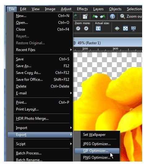 Select GIF Optimizer