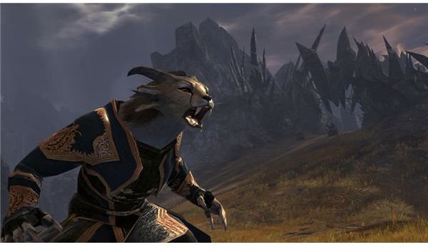 Guild Wars 2 Preview: Asura, Charr and Sylvani Races, New Professions