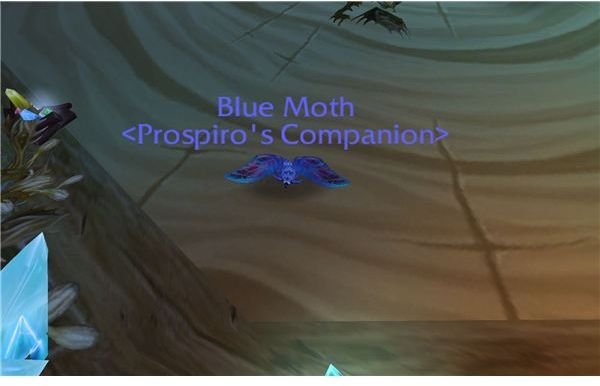 Blue Moth Pet