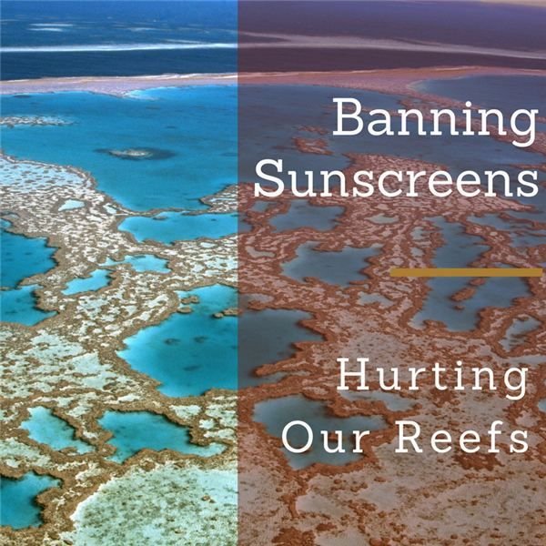 Why Sunscreens Are Harmful to Humans and Reefs