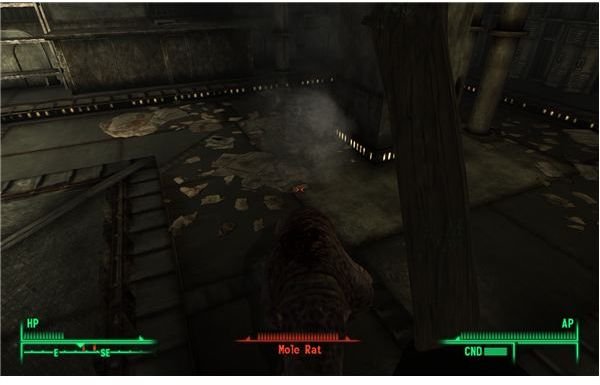 Fallout 3 - Watching Mole Rats Explode is Pretty Fun