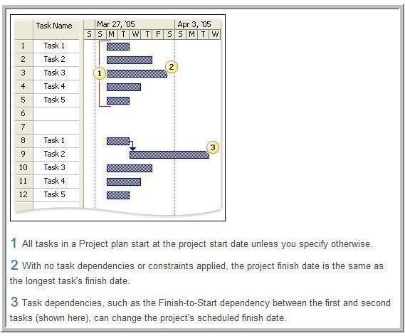 How to Review Structure and Sequence of Project Tasks